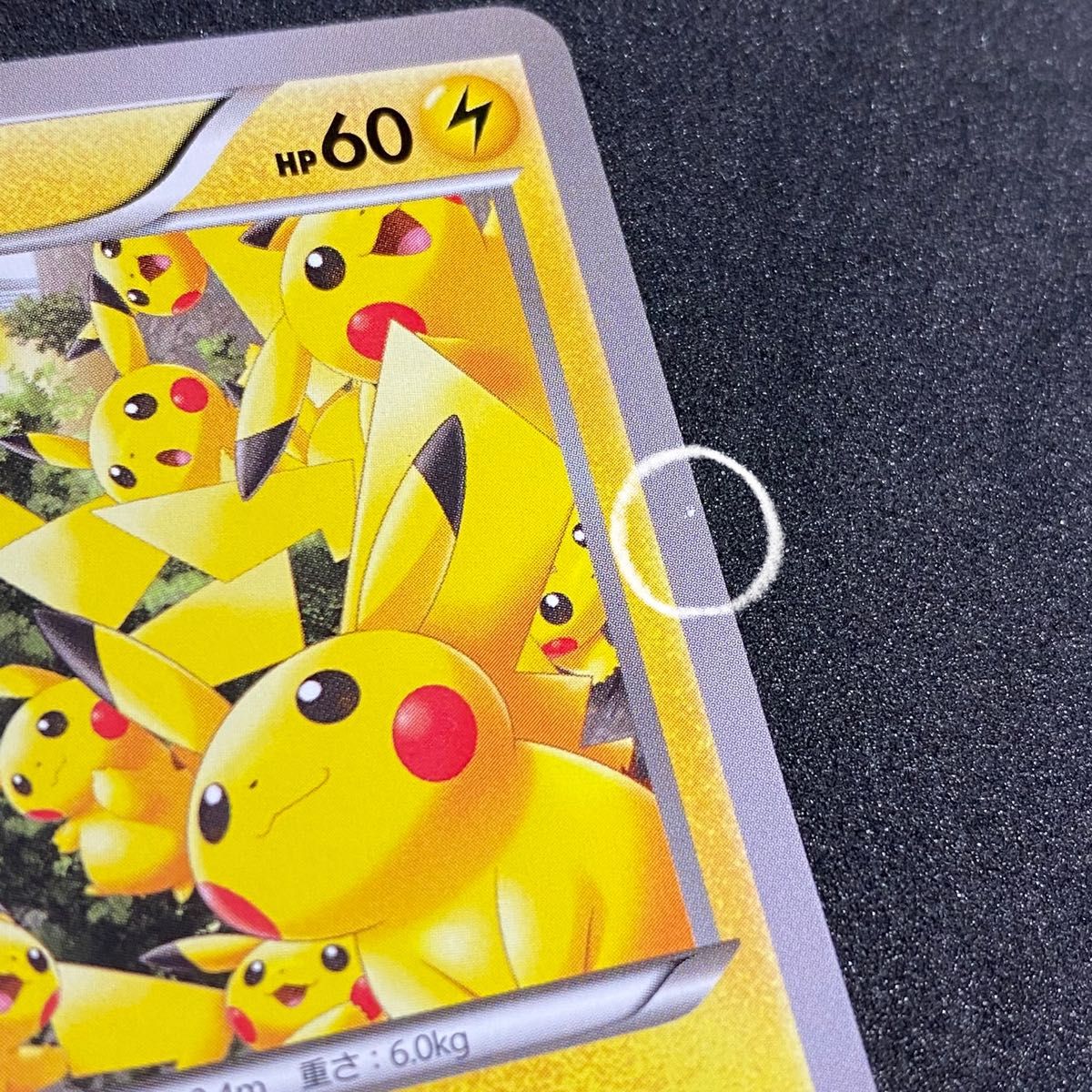 ピカチュウ 大量発生 ポケモンカード プロモ【ポケカ ピカチュウ 大量発生 ポケモンカード プロモ【ポケカ