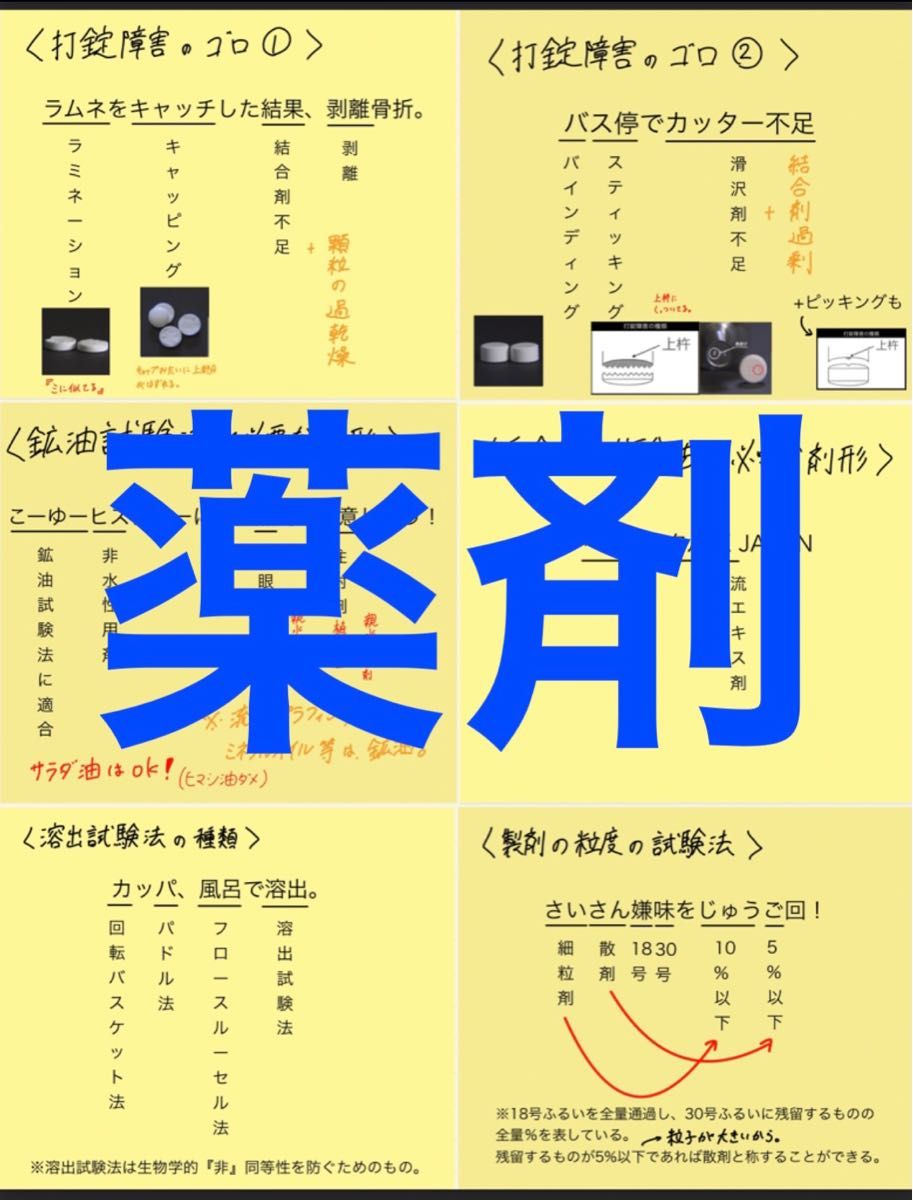 薬剤師国家試験(新カリ対応) 付箋ノート 付箋まとめ 薬学 ゴロまとめ 青本付箋