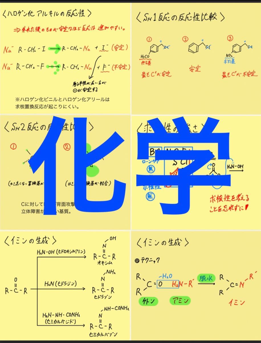 薬剤師国家試験(新カリ対応) 付箋ノート 付箋まとめ 薬学 ゴロまとめ 青本付箋