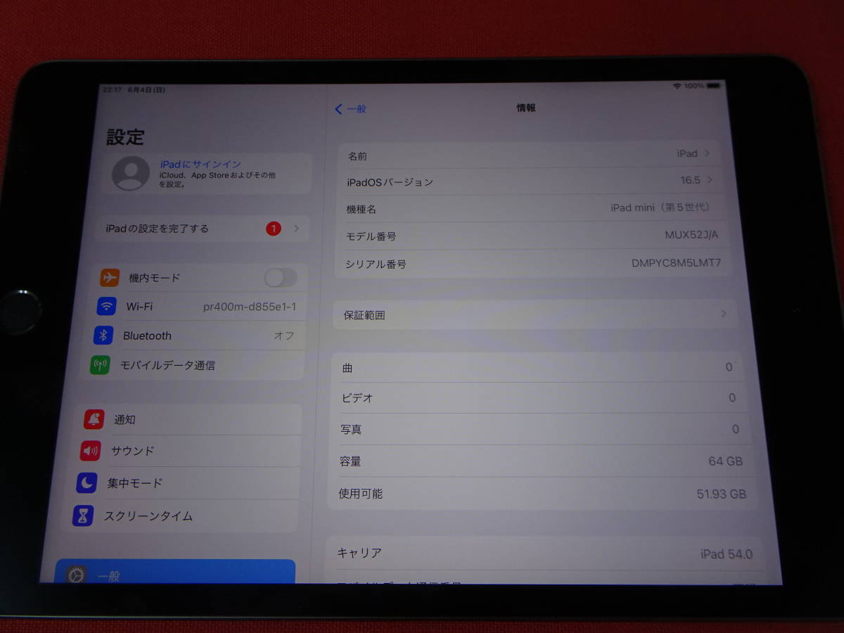 iPad mini 第5世代 WiFi+Cellular 64GB スペースグレイ 国内版SIM