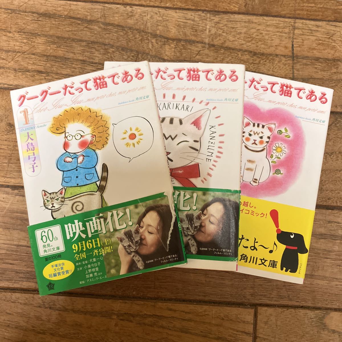 A-ш/ グーグーだって猫である 不揃い3冊まとめ 角川文庫 大島弓子