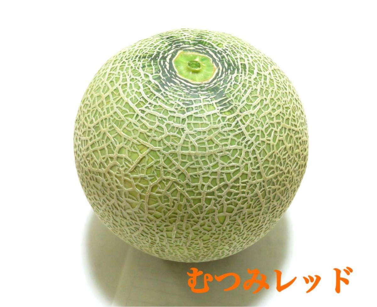 1円~ ☆家庭用 茨城県産 むつみレッド 1箱 約5kg 3玉~4玉 糖度12度~17度 同梱不可 a5
