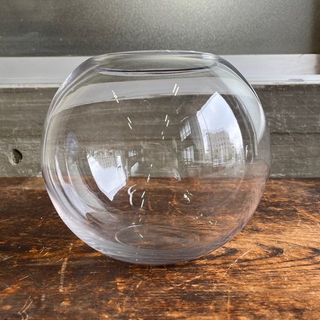  стакан aqua sphere водоросли суккулентное растение аквариум круглый аквариум ваза стекло прозрачный ① получение приветствуется ( Yokohama город ) digjunkmarket