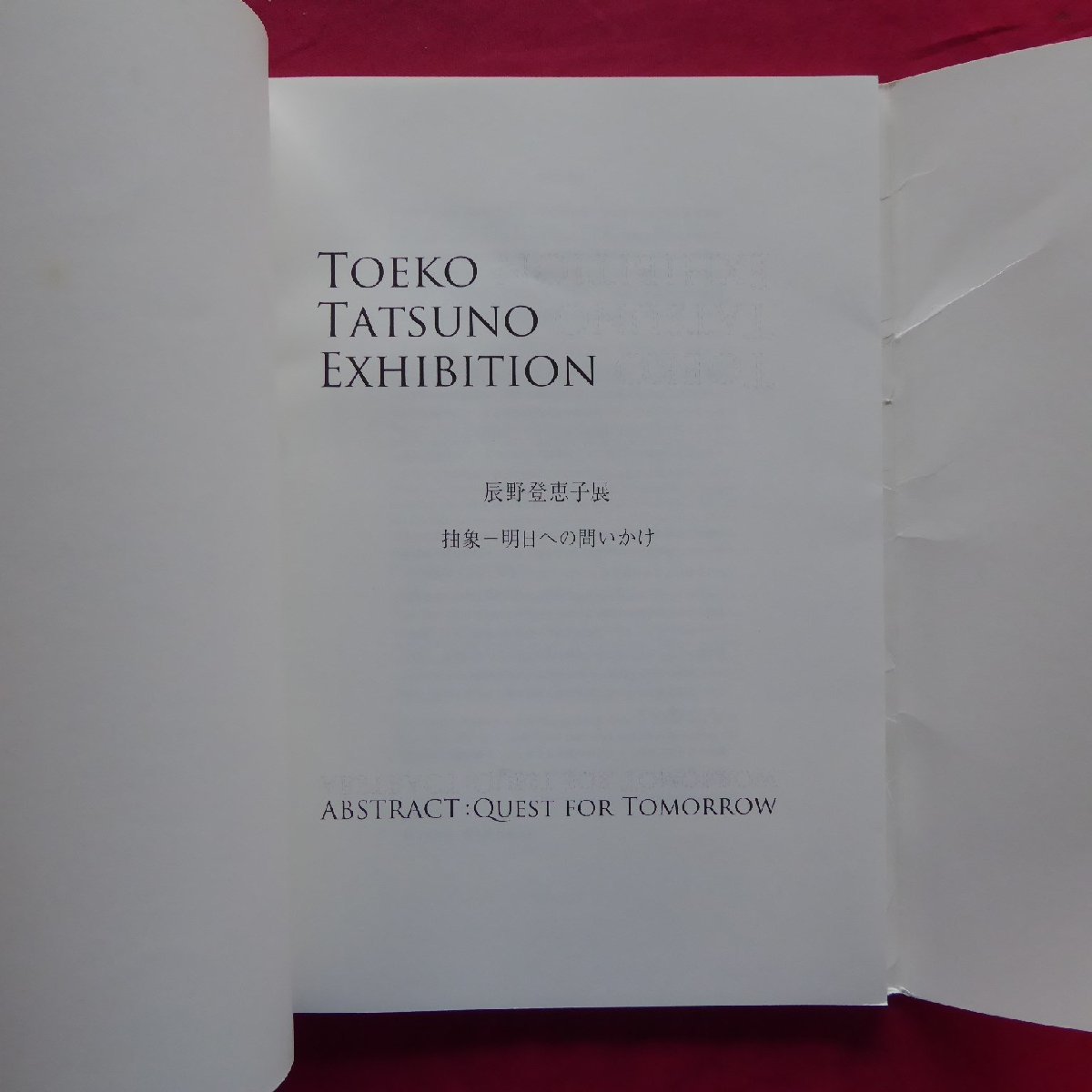 L2 llustrated book [..... exhibition ..- Akira day to ..../ Shiseido guarantee Lee *2011 year ] forest book@ Miho :...... challenge / three wheel ../ lithograph 