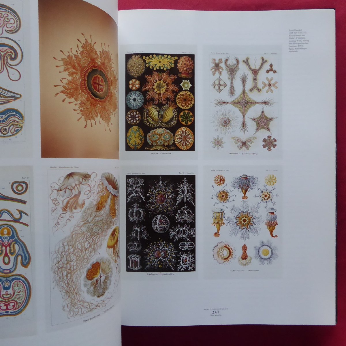 z69/洋書【身体の中の魂-芸術と科学、1793-1993:L'ame au corps-Arts et sciences, 1793-1993/ 国立グランパレ美術館・1993-94年】 - 芸術、美術史 z69/洋書【身体の中の魂-芸術と科学、1793-1993:L'ame au corps-Arts et sciences, 1793-1993/ 国立グランパレ美術館・1993-94年】 - 芸術、美術史