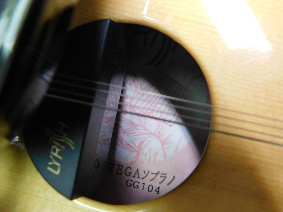 ライリッシュハープ最上位機種】LYRISH(ライリッシュ) VEGA(ベガ