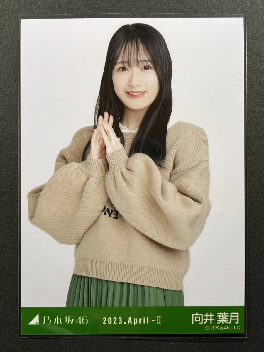 乃木坂46 生写真 向井葉月 トラディショナル チュウ_画像1