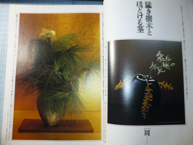 Ω　華道＊特集「自在な花人、中川幸夫の、地、水、花、風、空」＊季刊『銀花』1991・第八十六号_画像4