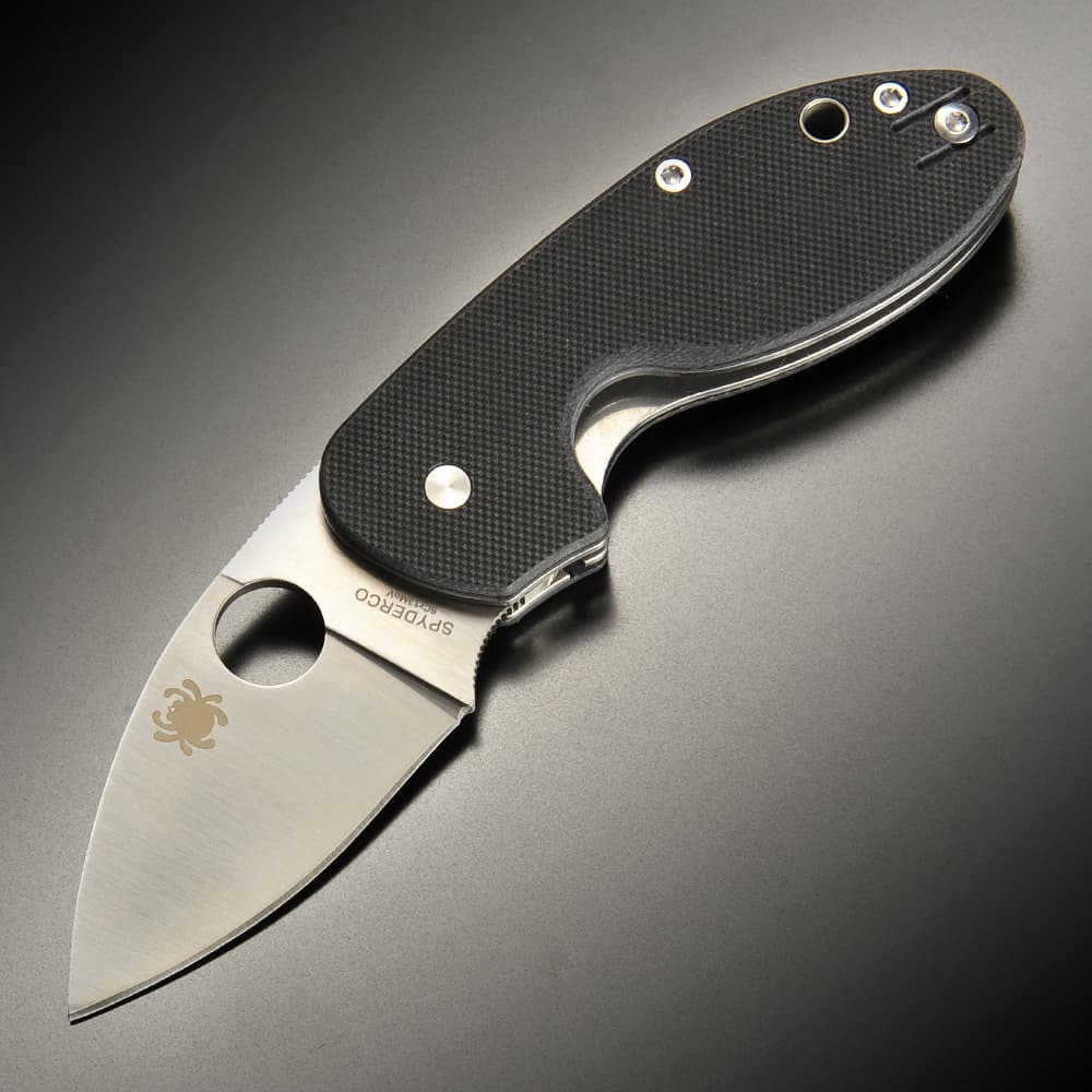 Spyderco 折りたたみナイフ INSISTENT 直刃 ライナーロック G-10 C246G フォールディングナイフ
