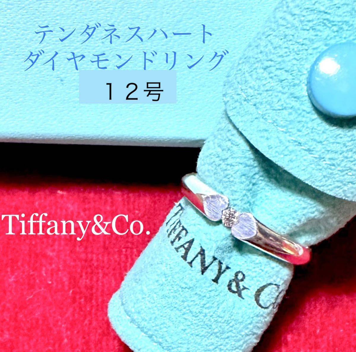 国内即発送】 【廃盤品・レア】TIFFANY&Co. ティファニー リング