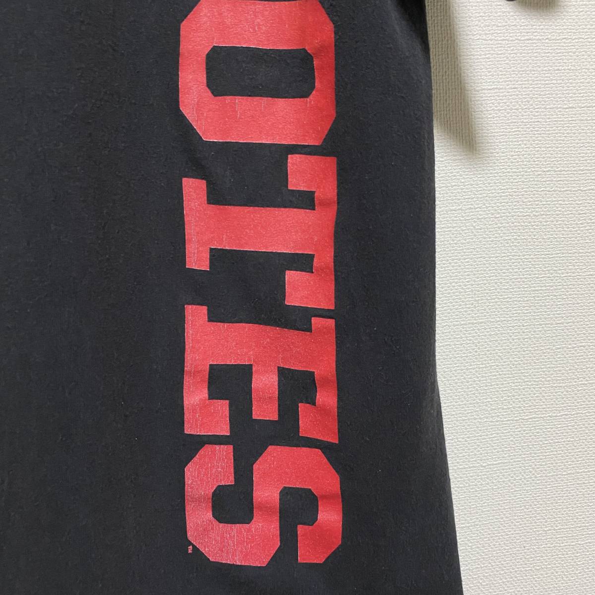 アメリカ古着　サウスダコタ大学　カレッジプリント　半袖Tシャツ　両面プリント　Sサイズ　champion　【J584】