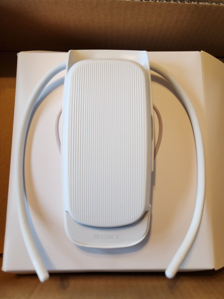 SONY REON POKET4 レオンポケット4 本体+ネックバンド | noonanwaste.com