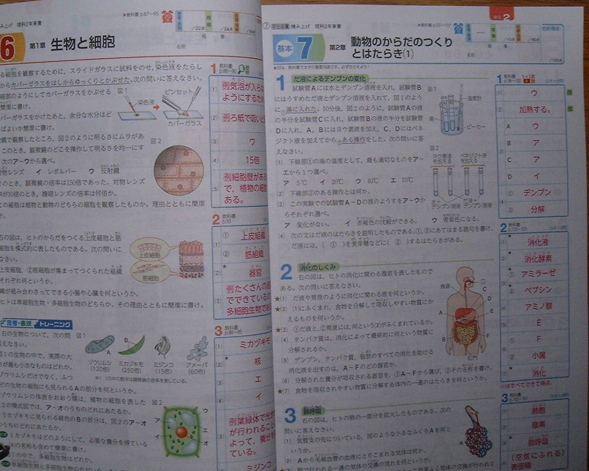 トップ100 中学 2 東京書籍 理科 プリント 答え 最高のカラーリングのアイデア