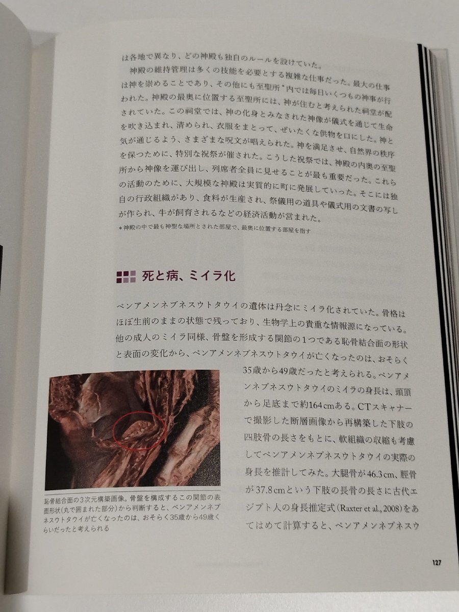 【図録】大英博物館ミイラ展 古代エジプト6つの物語【ac01】_画像6