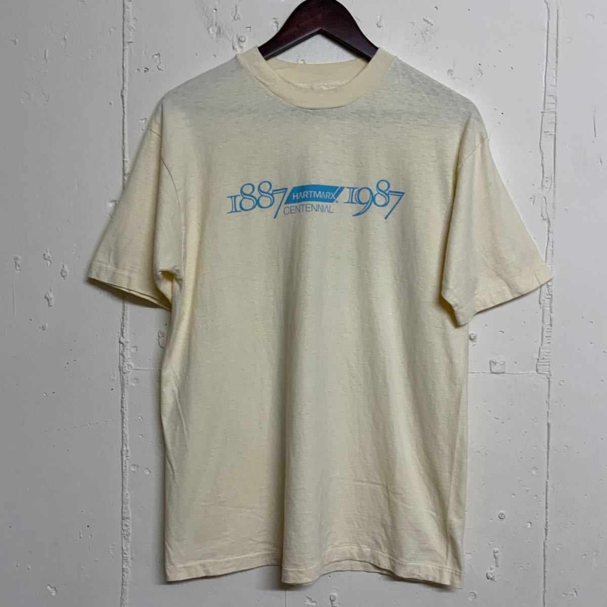 80s HanesヘインズプリントTシャツ古着80年代メンズLアメリカ製USA製_画像1