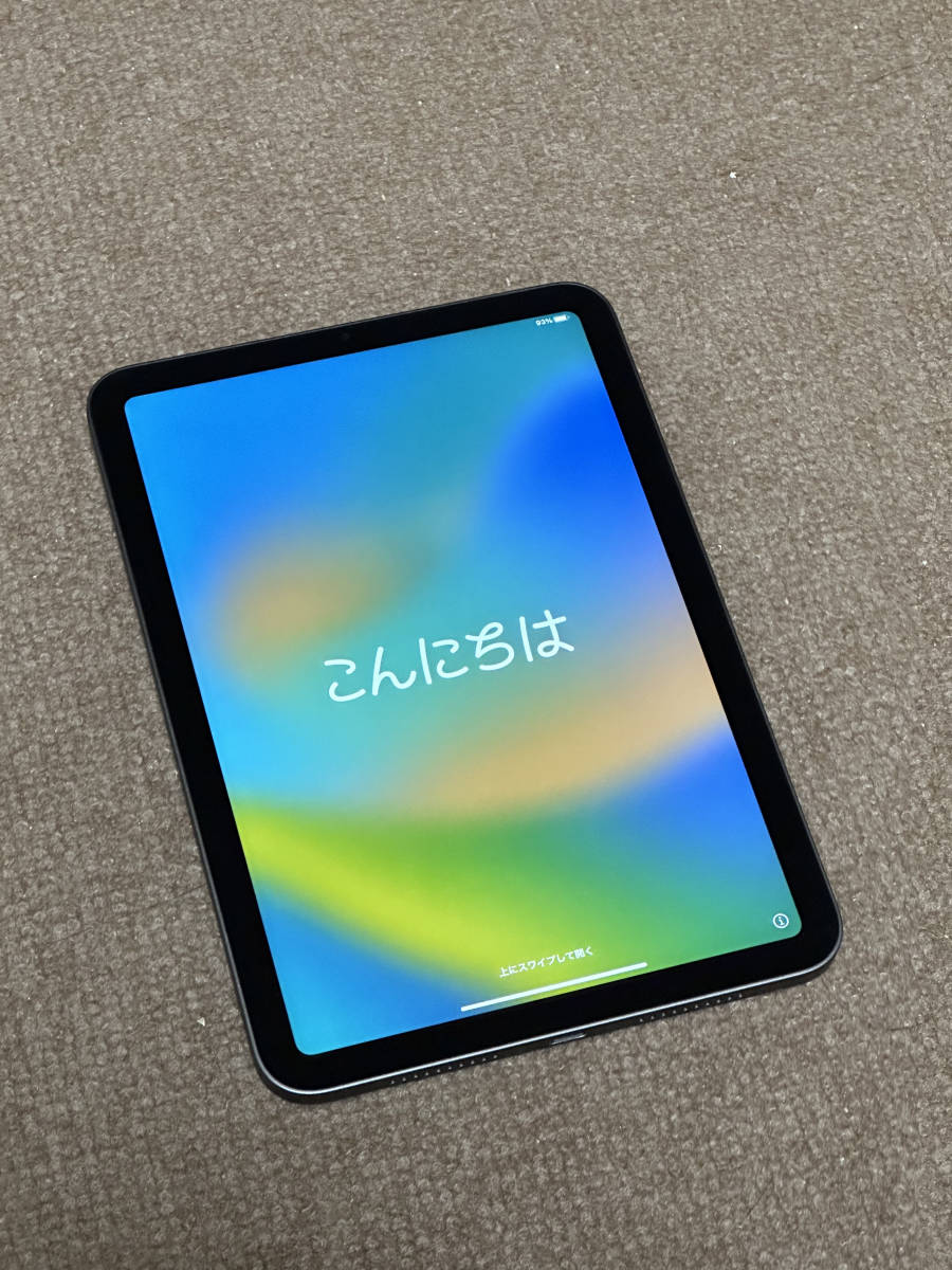 ☆ APPLE iPad mini WI-FI 64GB 極美品-