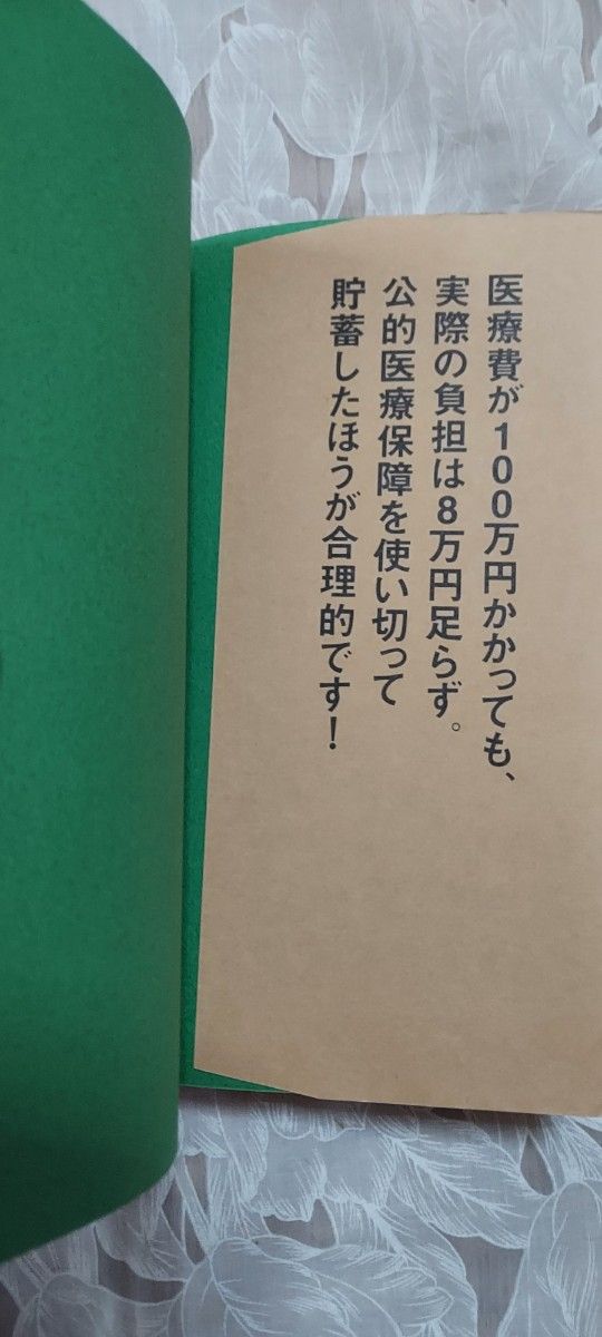 医療保険は入ってはいけない！　内藤眞弓