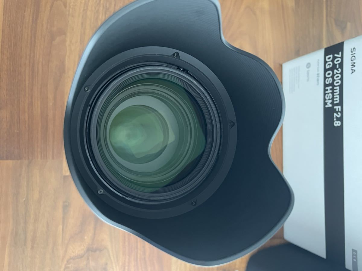 美品 SIGMA シグマ ニコン用 70-200mm f2.8 Fマウント | monsterdog.com.br