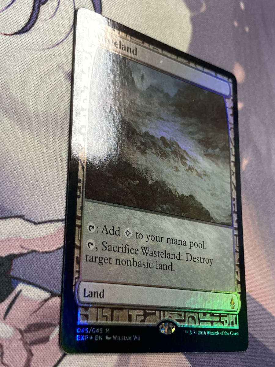 MTG　《不毛の大地/Wasteland》【foil】　EXP　英語_画像3