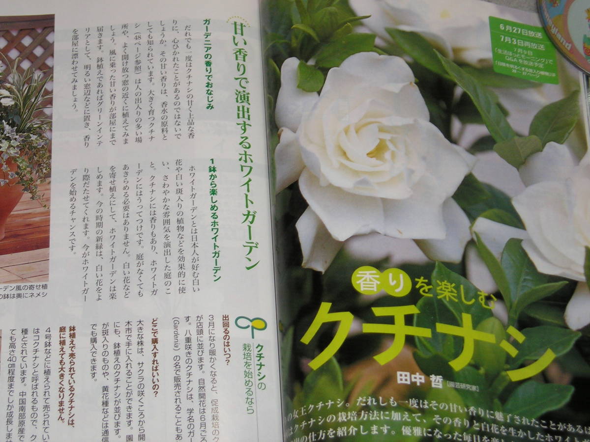ヤフオク Nhk趣味の園芸04 6アジサイ 斑入り植物ツボサ ヤフオク Nhk趣味の園芸04 6アジサイ 斑入り植物ツボサ