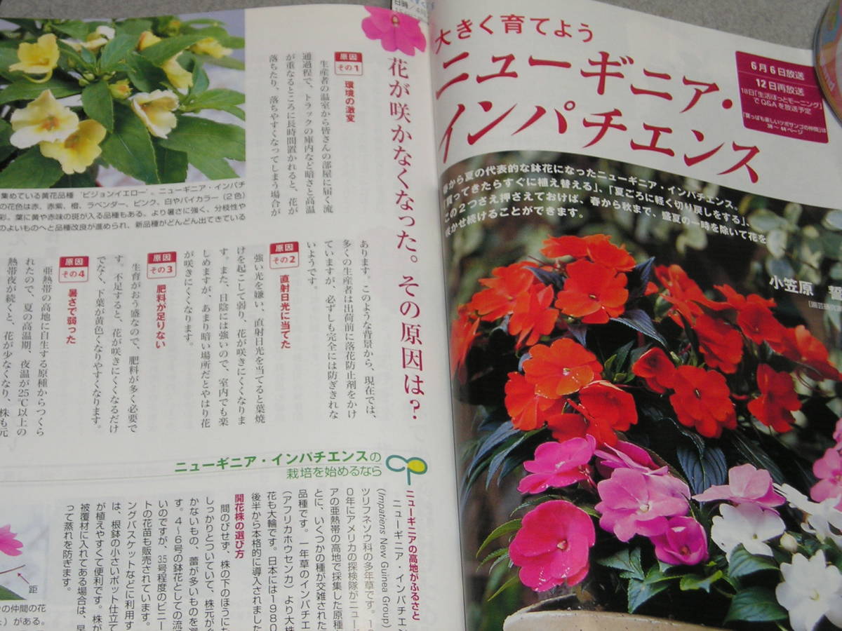 ヤフオク Nhk趣味の園芸04 6アジサイ 斑入り植物ツボサ ヤフオク Nhk趣味の園芸04 6アジサイ 斑入り植物ツボサ