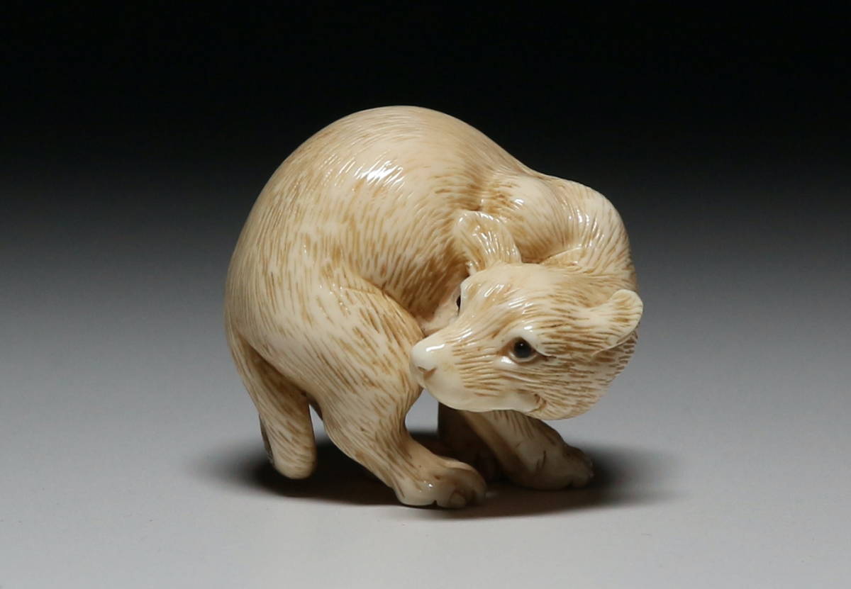 心】k177 マンモス根付 犬 在銘（検：提げ物/緒締め/帯留め/Netsuke）-