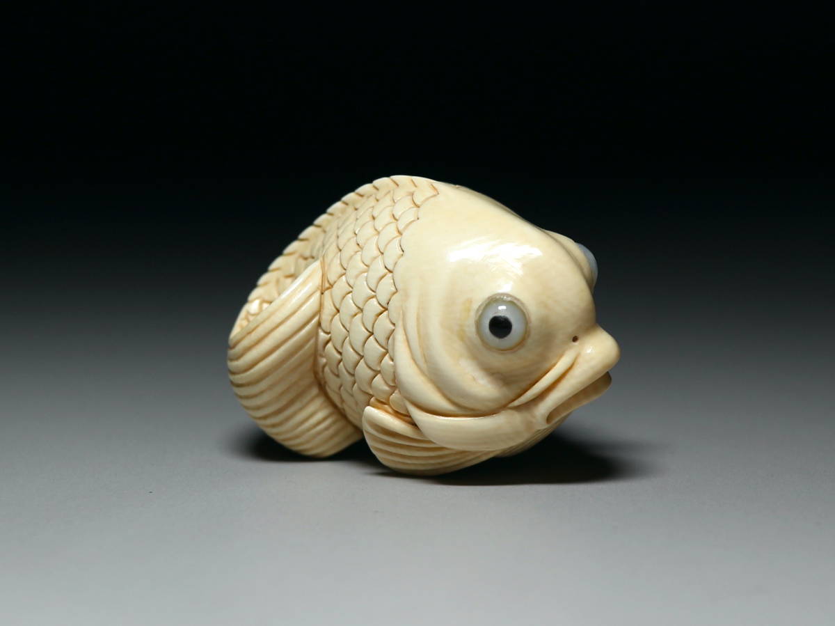 【心】k119 マンモス根付 　　鯛　　在銘（検：提げ物/緒締め/帯留め/Netsuke）_画像5