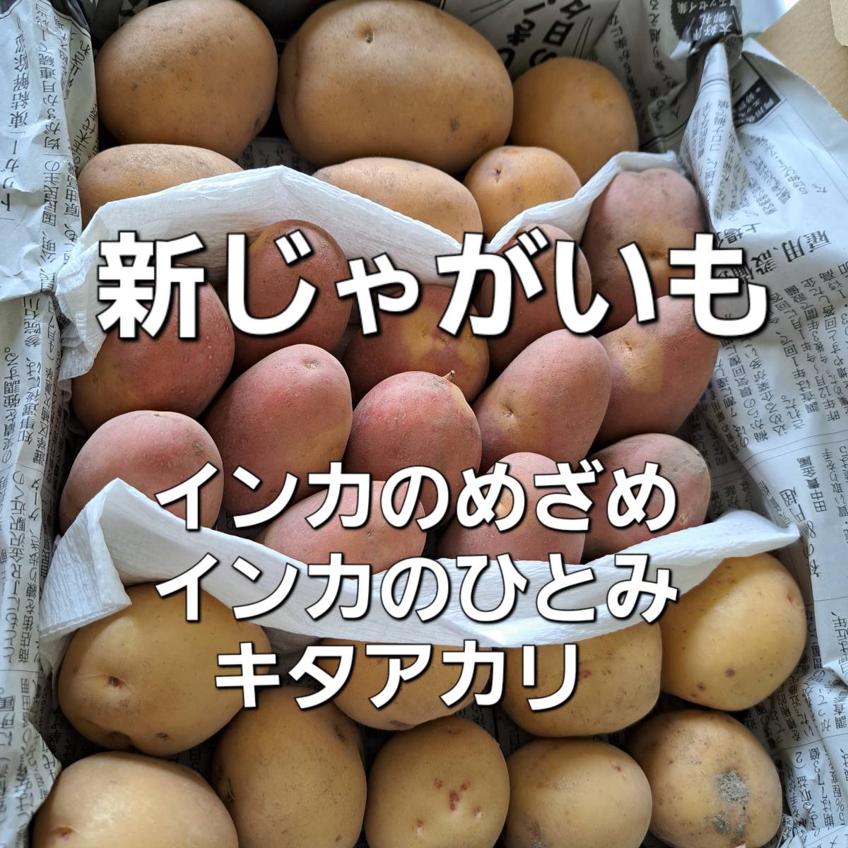 新じゃがいも 詰合せ(インカのめざめ/インカのひとみ/キタアカリ)希少