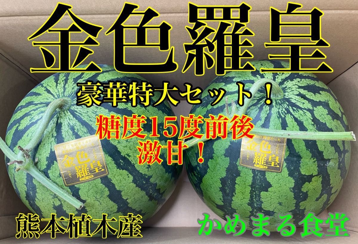 訳ありセール 格安) ゆぅ様専用富里1番なりスイカ羅皇ザスウィート5L