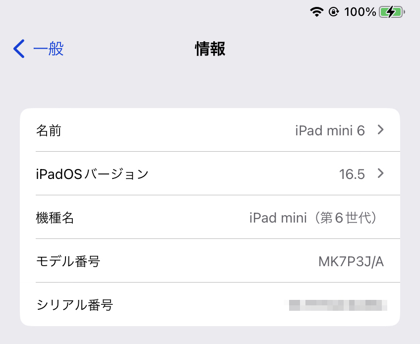 美品　iPad mini 第6世代 /64GB / スターライト / Wi-Fiモデル_画像8