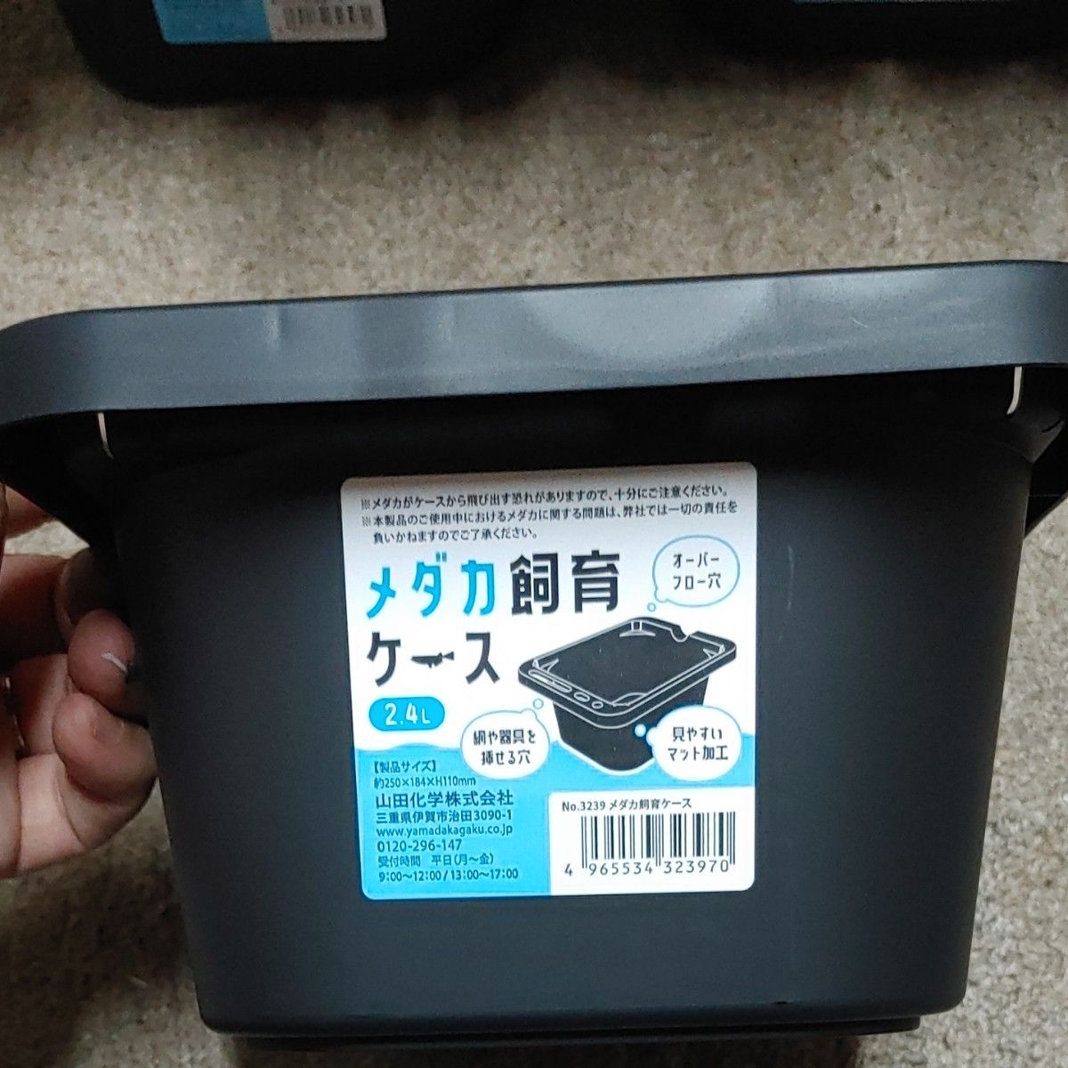 メダカ飼育ケース 6個セット