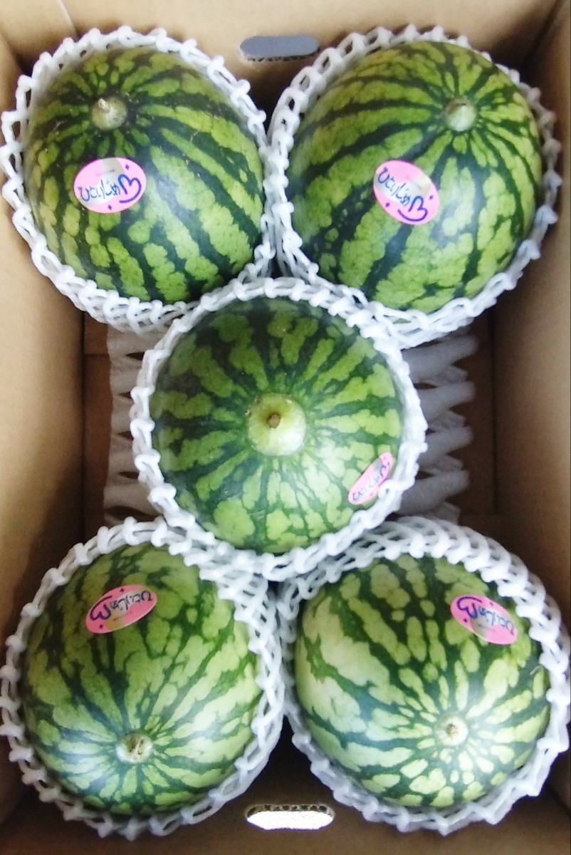 ☆希少☆秀品☆富山県産☆呉羽幸水梨5〜6玉入り箱☆ 通販 7名様先着限定破格☆希少☆秀品☆富山県産☆呉羽幸水梨4〜5玉入り箱☆