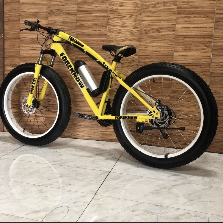 高級電動自転車 電動 ファットバイク ビーチクルーザー 自転車 ロード