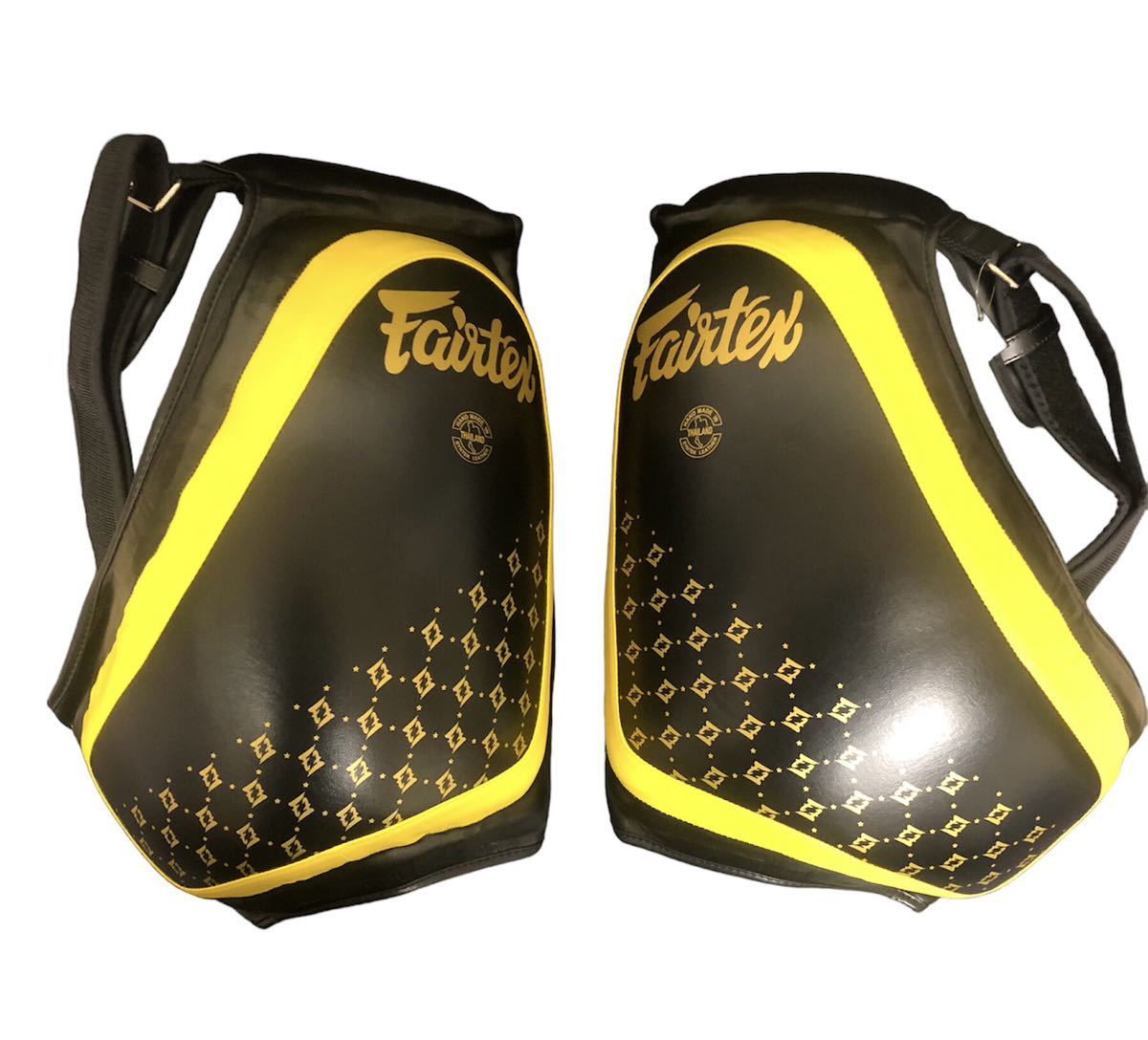 フェアテックス Fairtex ローキックパッド ローキックプロテクター