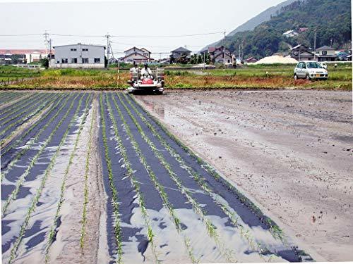 【わけあり・メール便・送料込み】濃厚有機玄米あまざけ２５０ｇ×４本_画像4