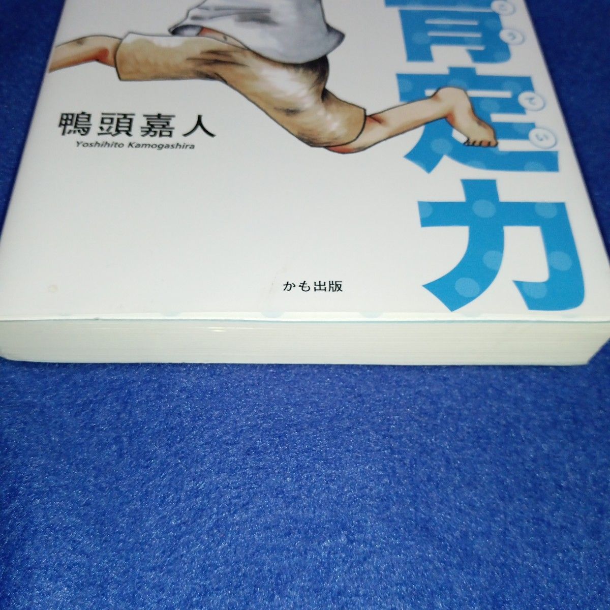 自己肯定力　そんなことで私の価値は変わらない 鴨頭嘉人／著