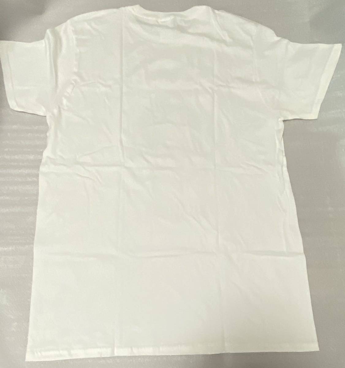 GILDAN アンドレザジャイアント　Tシャツ CHRONIC Dr. Dre サンプリング　プロレス　L サイズ　ホワイト_画像4