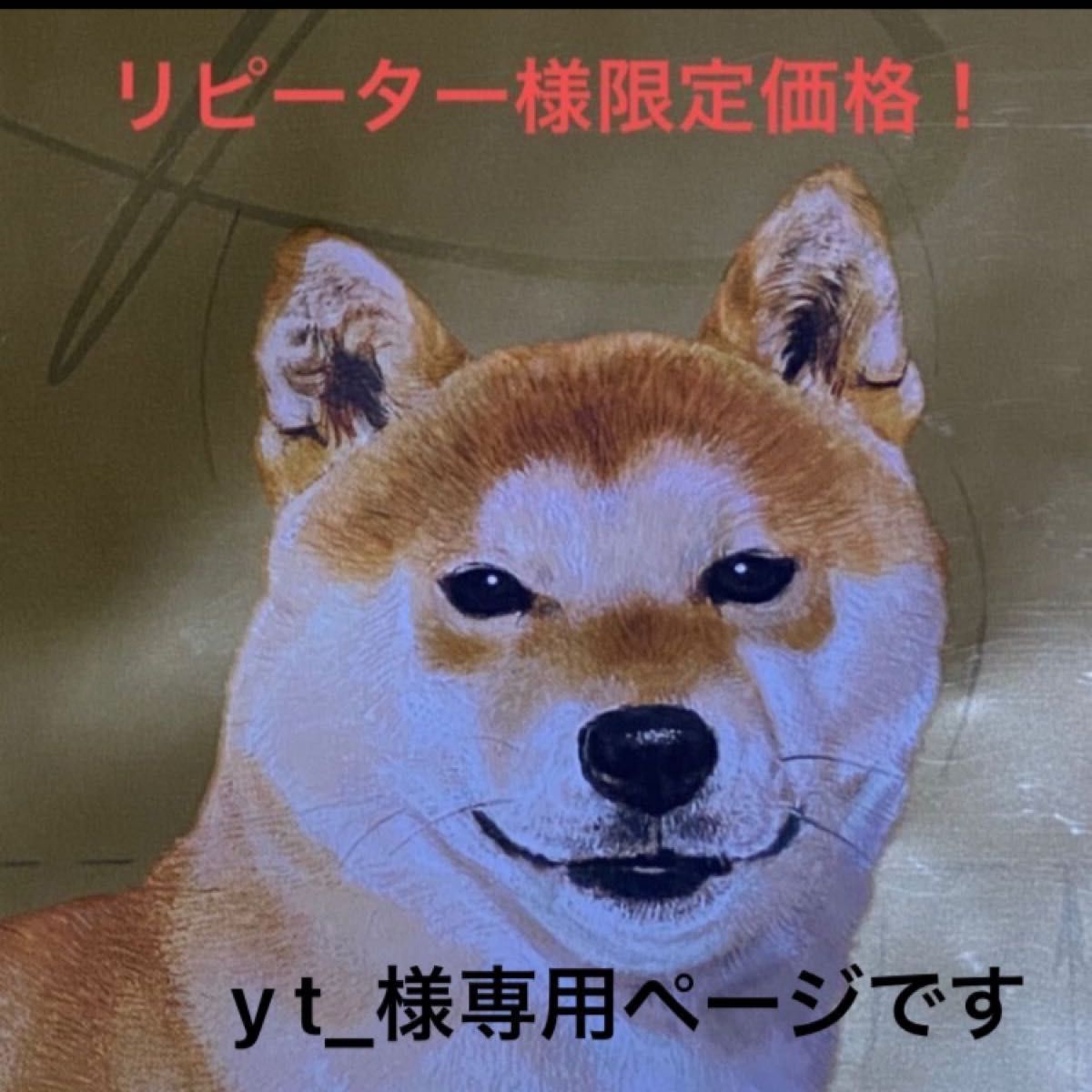 yt_様専用 ロイヤルカナン柴犬成犬用8kg ×3個 Yahoo!フリマ（旧）-