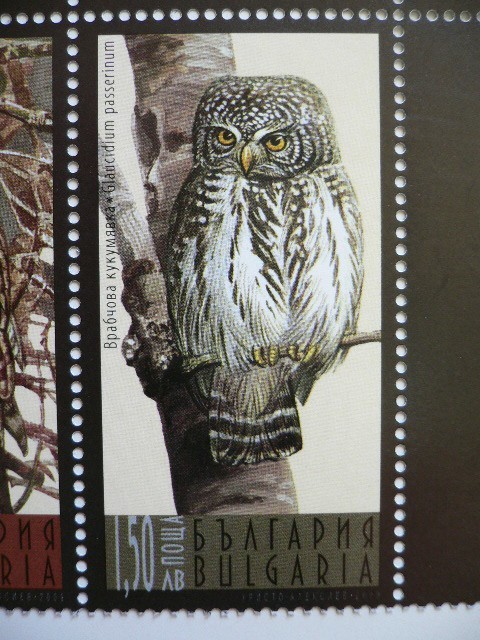 ブルガリア 切手 2009 夜行性 猛禽類 4899_画像5