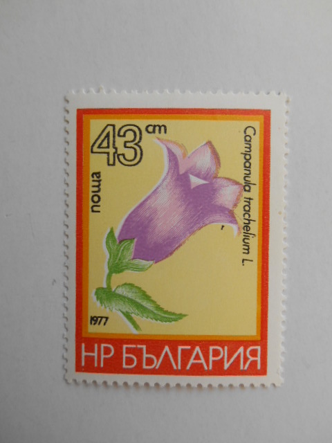 ブルガリア 切手 1977 山 草花 カンパニュラ種 2631-4_画像6