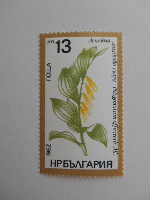 ブルガリア 切手 1982 薬草 3129_画像5