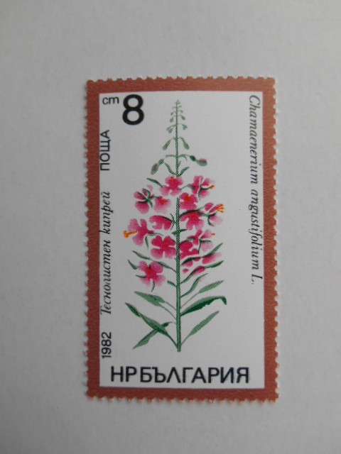 ブルガリア 切手 1982 薬草 3129_画像4
