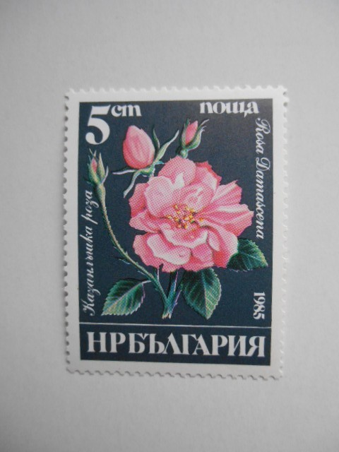 ブルガリア 切手 1985 ブルガリア バラ 3414_画像2