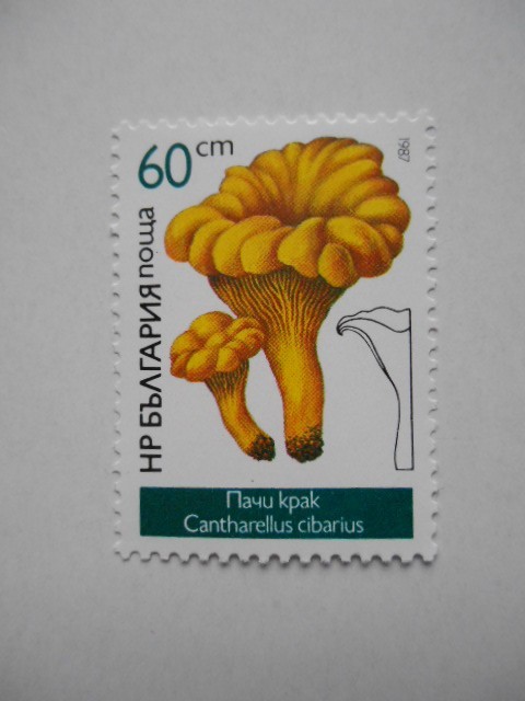 ブルガリア 切手 1987 食用 キノコ 3573_画像7