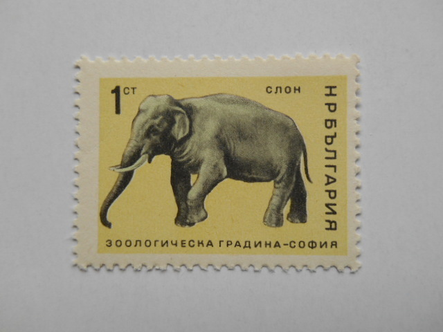 ブルガリア 切手 1966 ソフィア 動物園 1681-1_画像2