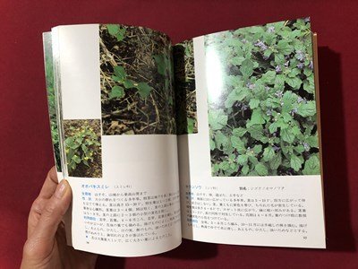 ｍ▼▼　新潟県の山菜　山本敏夫著　昭和58年2刷　/I45_画像3