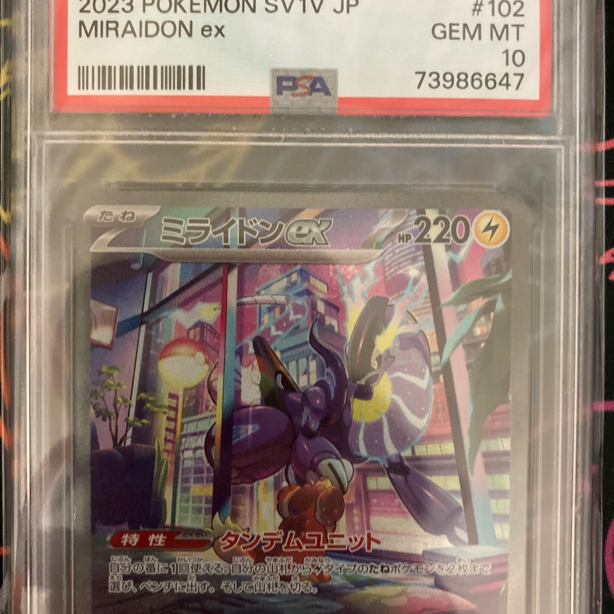 ポケモンカード コライドンex sar ミライドンex sar PSA10 連番 ポケカ