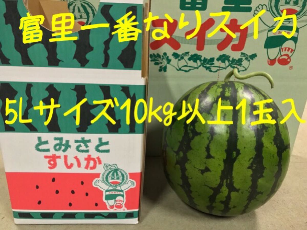 速くおよび自由な 富里1番なりスイカ金色羅皇3Lサイズ1玉入り