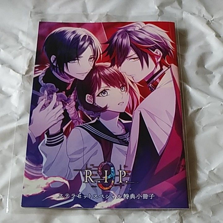 9 R.I.P. ステラワース特典 スペシャル小冊子　ナインリップ 9rip 9r.i.p. r.i.p ステラセット