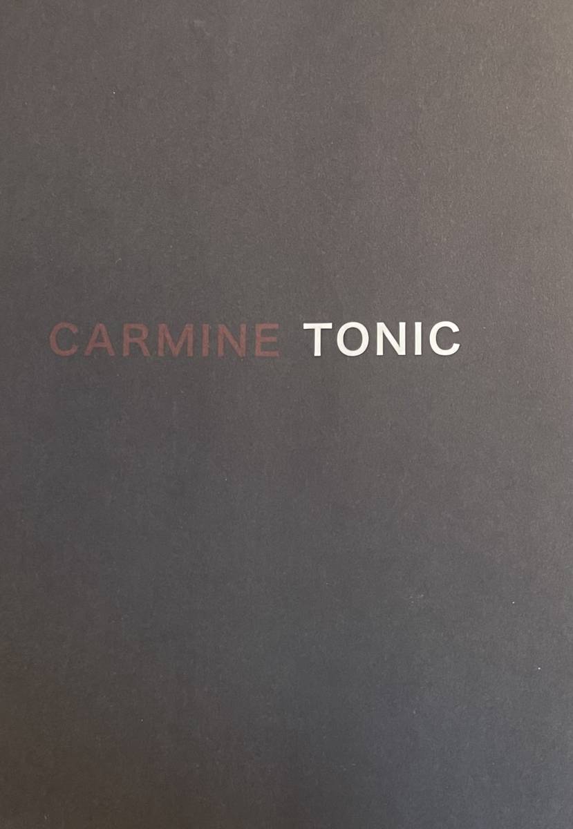 Carmine Tonic 12 Autumn Winter Takashi Homma ホンマタカシ
